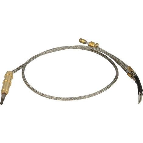 Thermocouple Viessmann avec aiguille TSU-590.353-600/100/40x2 mm