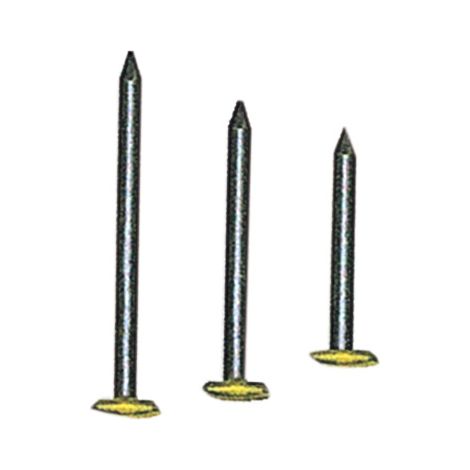 SC CHIODI PER QUADRI TESTA RICOP OTT 2X20 MM 100 PZ- 10,0 pz