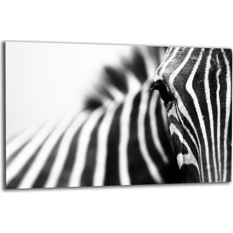 PLAQUE DE PROTECTION EN VERRE POUR CUISINIÈRE 80x52 ZEBRA (1/5)