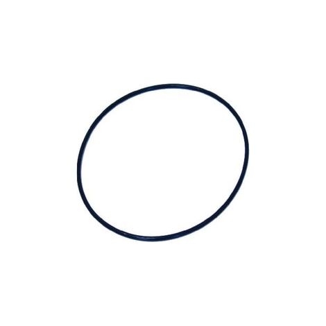 O-Ring UNIVERSAL NWS00119