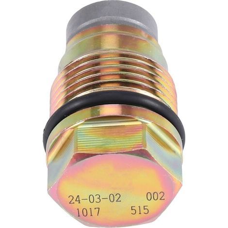 1110010015 1110010017 1110010018 1110010028 Fuel Rail Pressure Limiting Valve (1/4)