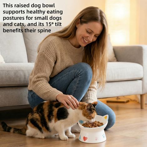 Mangeoire surélevée en céramique pour chat avec support incliné, protection du cou pour animaux de compagnie inclinée à 15°, gamelle d'eau pour chien anti-refoulement (blanc bleu) (1/5)