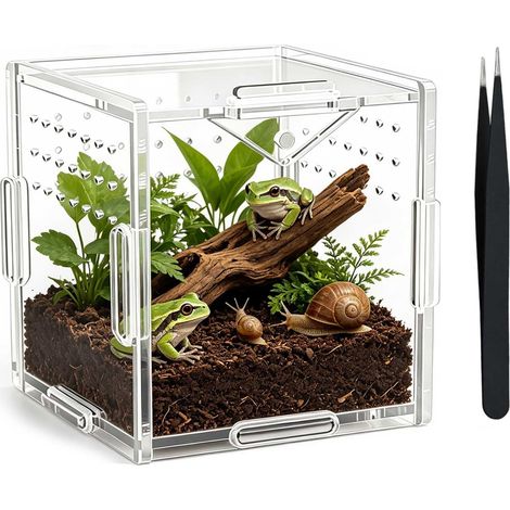 Terrarium Acrylique Transparent 10x10x10cm, avec Pince, Boîte d'Élevage pour Reptiles, Insectes, Araignées, Escargots (1/5)