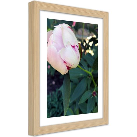 Quadro con cornice, Peonia bianca - 40x60 (1/5)