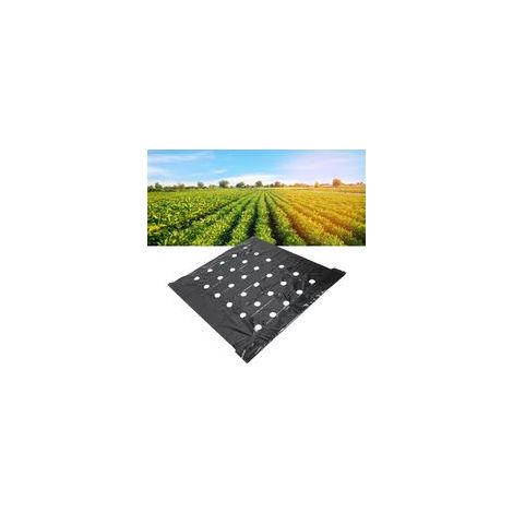 Paillis perforé, Plantes Noires Film PE perforé pour Jardin Film de Paillage Noir Pare-Vapeur Bâche en Plastique Film de Paillage Agricole Film perforé Agricole Noir