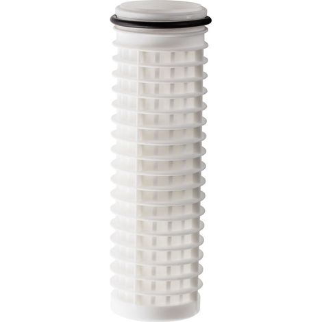 BWT Filterelement Celsius Größe 2 Heißwasserfilter DN 40 und 50, 10875E