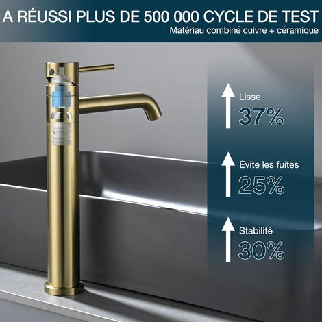 Robinet lavabo pivotant 360 degrés en inox 304 – Hauteur de bec 204 mm – Eau chaude et froide réglable – Finition doré brossé