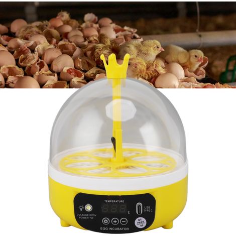 Incubateur miniature pour poussins, petit incubateur domestique/mini pour enfants, boîte d'incubation intelligente, incubateur manuel.