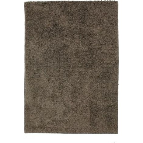 Tapis shaggy toucher laineux extra-doux 120x170cm – 100% polypropylène – Épaisseur 20mm – Entretien facile – Thedecofactory (1/5)
