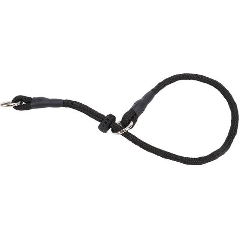 Laisse de dressage pour chien en nylon avec étranglement, idéale pour les promenades en extérieur et le contrôle du comportement. Taille M, 50 cm / 20 pouces. (1/5)