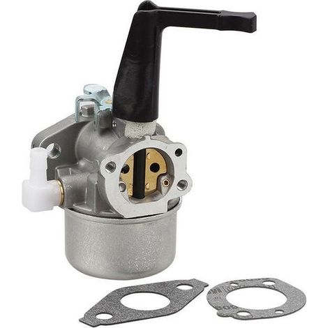 Nazalus - Offerta speciale - Carburatore di ricambio per motocoltivatore Ruichang Briggs & Stratton 696065 con kit guarnizioni (1/5)