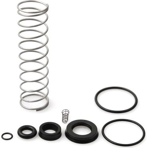 Ensemble de joints de rechange et de ressort pour QK15051, QK16051