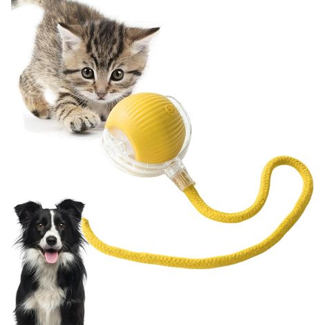 Jouets interactifs pour chats, jouets électriques pour chats avec fonction de réveil, adaptés aux chiens et chats de petite et moyenne taille (1/4)