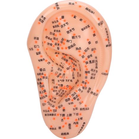 Modèle d'acupuncture auriculaire humaine avec points d'acupuncture, modèle de massage auriculaire pour usage domestique (1/5)