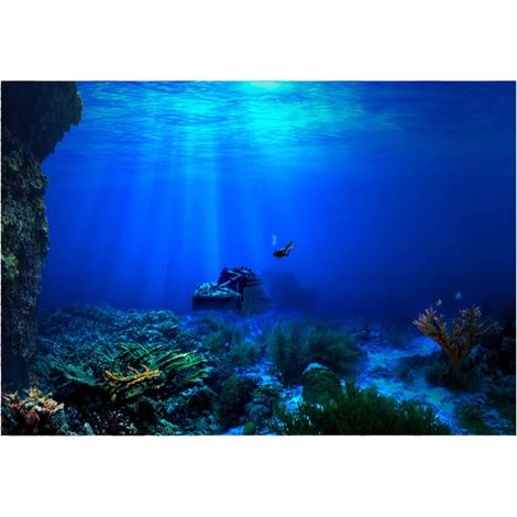 Affiche autocollante de fond Seaworld pour décoration d'aquarium 61 x 41 cm (1/5)
