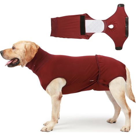 Serviette de bain pour manteau de séchage pour chien, matériau en microfibre à séchage rapide et super absorbant(vin rouge XXS) (1/5)