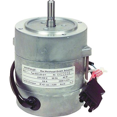Moteur de bruleur V Upm, WL 10-AU/15-A 241 100 0714/0 BG
