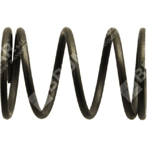 Ventilfeder für DUCAR-Motorpumpen und Motorgeneratoren – 038091