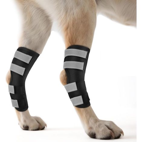 Genouillère pour Chien 2 Unités for Pattes Arrière avec Sangles Réfléchissantes, Attelle pour Jambe Offrant Un Soutien Articulaire pour la Guérison des Blessures et des Entorses,XL (1/5)