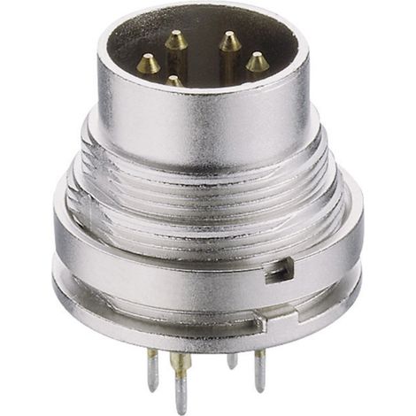 Lumberg SGR 50/6 DIN-Rundsteckverbinder Stecker, Einbau vertikal Polzahl: 5  Silber 1 St.