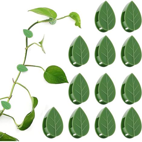 Lot de 50 supports auto-adhésifs pour plantes grimpantes – clips muraux de fixation végétale (1/4)