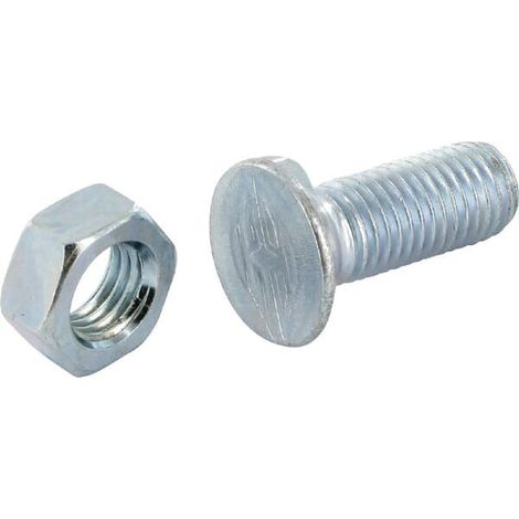 Pflugschraube mit 2 Nasen TF2E 11x30 mm GREGOIRE BESSON VI1202