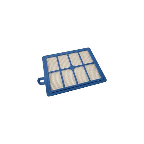 Filtre Hepa EFS1W original S-filter Allergy Aspirateur 9001677688 ELECTROLUX Aspirateur 9001677688 ELECTROLUX