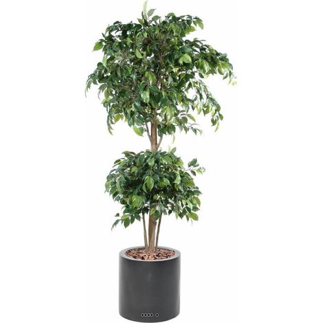 Ficus artificiel double boule H 150 cm Vert en pot - dimhaut: H 150 cm - couleur: Vert