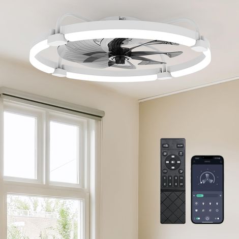 Ventilateur de Plafond avec Lumière, 60cm Plafonnier Ventilateur avec Pales Amovibles (1/5)