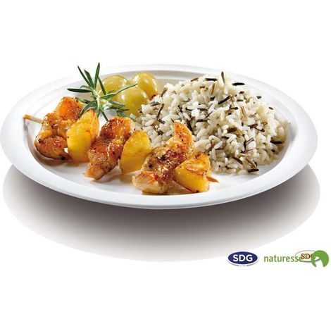 Assiette jetable plate 18 cm en cellulose - 500 pièces - Ecobioshopping (1/3)