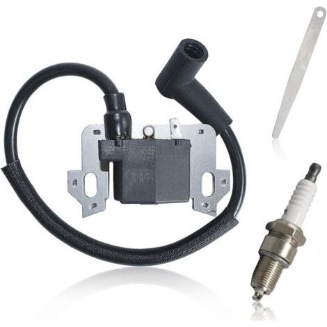 Bobine d'allumage pour Honda GCV135 GCV160 GC160 GSV160 GCV190 GC190 GSV190 GC135 GC160A GC160LA GC190A GC190LA HRR216 Tondeuse à Gazo, avce Auge Jeu Soupapes,Remplace pour 30500-ZL8-014