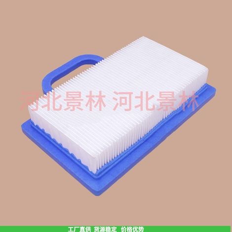 Briggs & Struts 499486S 273638492056 492932 493629 691035 air filter element (1/4)