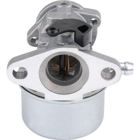 Carburateur pour Briggs & Stratton 799868 498170 498254 - Pièce moteur (1/5)