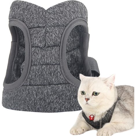 Harnais pour chat avec laisse anti-fugue, léger, respirant, réglable et doux pour chien (1/5)