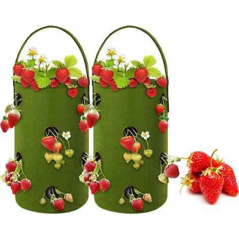 2 Paquets de Sac à fraisiers,Sac de Croissance en planteur de Fraises en Feutre avec 11 Trous (1/5)