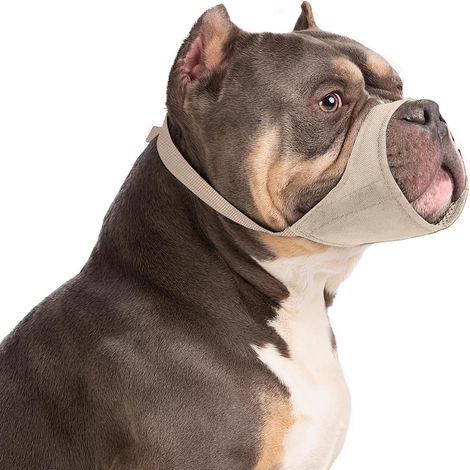 Dog Muzzle for Small Dogs, Short Muzzle for Chihuahua, Shih Tzu, American Bully Boxer, Puppy, Soft Anti-Bark and Bite for Dogs (1/5)