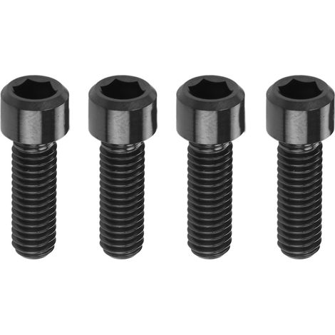 Stück M6x18 mm Schrauben für Offroad-Fahrrad-Scheibenbremssättel, rostbeständige Titanlegierung, schwarz