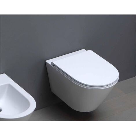 Wc Sospeso Senza Brida Azzurra Ceramica "Forma" Bianco Lucido (1/3)