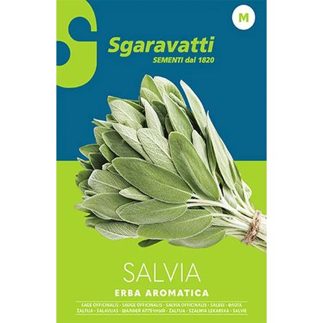 Semi per Ortaggi e Vegetali Salvia Officinale Sgaravatti 20 Pezzi (1/2)
