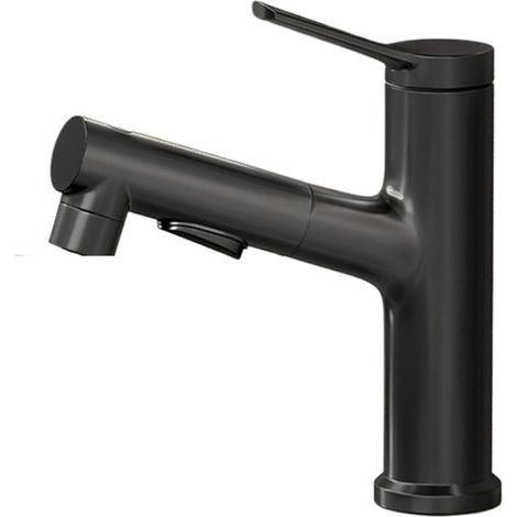 Robinet amovible pour lavabo de salle de bain, noir et argenté, avec mitigeur d'eau chaude et froide (Noir) (1/5)