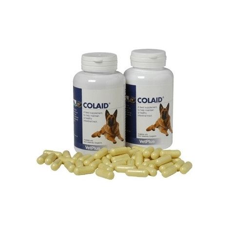 Colaid -Ergnzung zur Aufrechterhaltung der Darmgesundheit bei Hunden - 90 Tassen