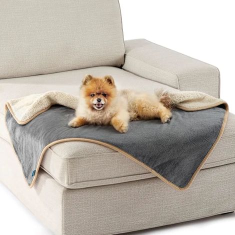 Couverture imperméable lavable pour petits chiens, protection pour canapé (1 pièce, 60 x 80 cm, grise) (1/5)