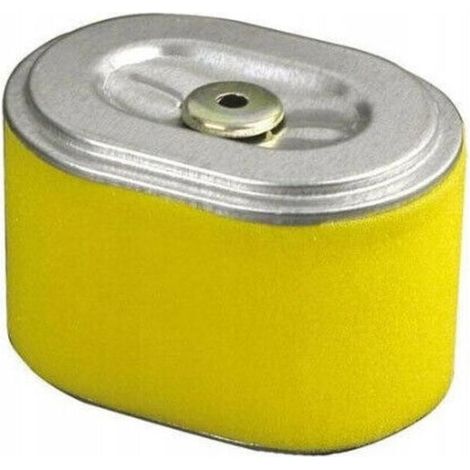 filtre à air pour scarificateur thermique Einhell BG-SC 2240 P (1/3)