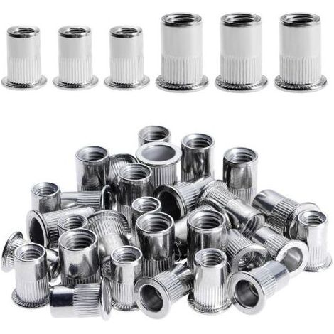 AHLSEN 100 Pièces Rivet Ecrou M6 M8, Écrous à Rivets en Acier Inox, Tête Plate Ecrou Insert Assortiment Kit pour Bois Meubles, Ecrou M6 Ecrou M8, Chaque Taille 50 Pièces (1/4)