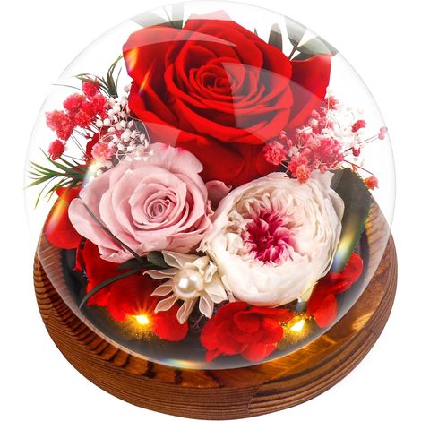 Rose éternelle JeiibrZui en verre - Rouge - 1 pièce - Cadeau fait main pour femme - Fête des mères, anniversaire - Décoration avec socle en bois (1/5)