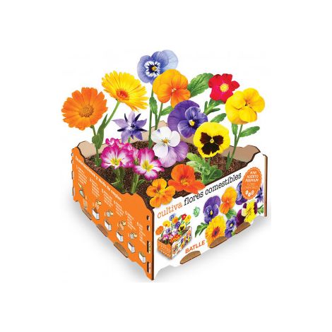 Set de Cultivo Batlle Flores Comestible 19 x 19 x 10 cm