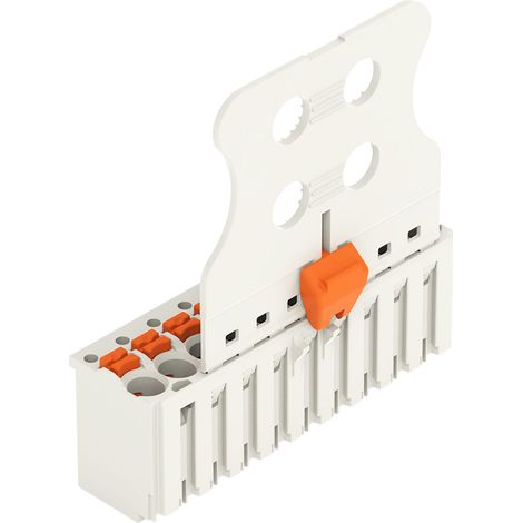 Conector wago 2091-1110/002-000 10 polos gris claro
