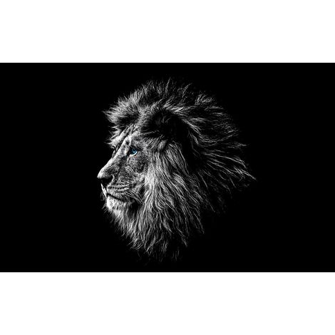 Tableau Lion aux yeux bleus - 80x50cm - made in France (1/5)