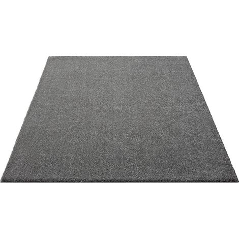 FLOORNOVO Hochflor Teppich Grau einfarbig - 170 x 120 cm - Besonders Weicher Teppich Wohnzimmer & Badezimmerteppich - Pflegeleicht - vielseitig einsetzbar im Innenbereich (1/2)