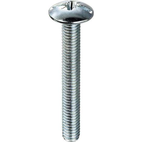 Viti testa bombata larga 5 x 50 - 1 Kg.